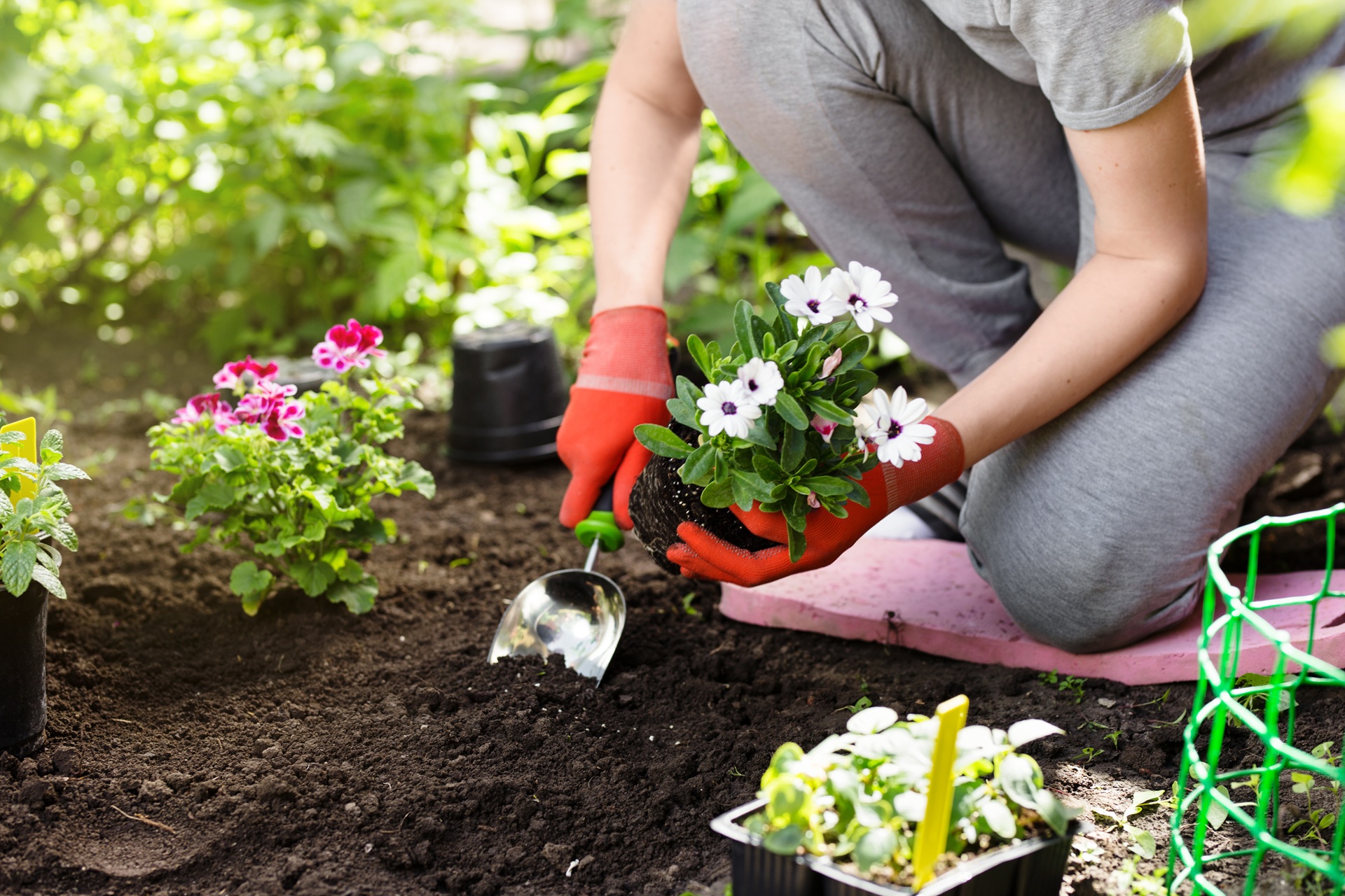 Frische Blumen werden eingesetzt | Elfa Master