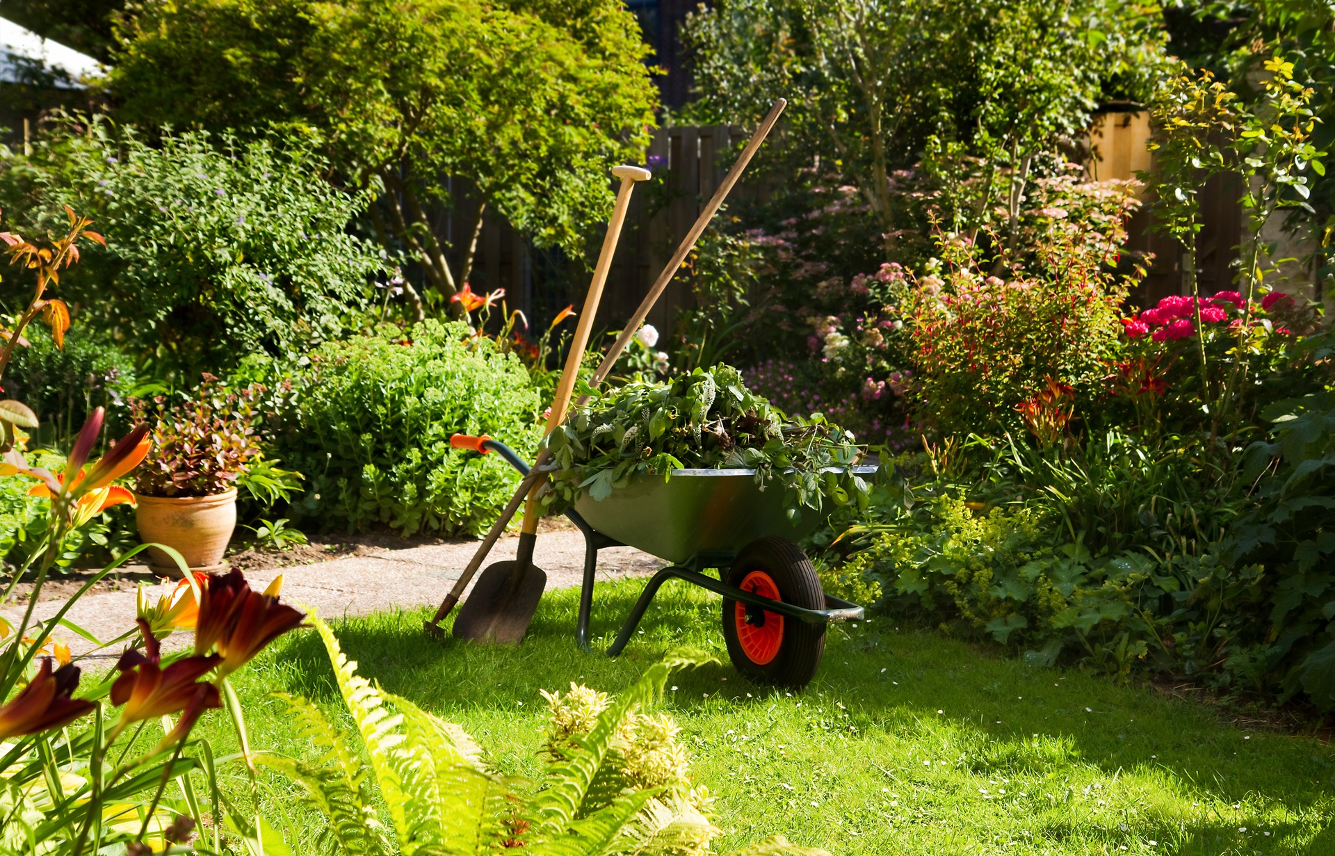Schubkarre mit Grünschnitt im Garten | Pflasterreinigung