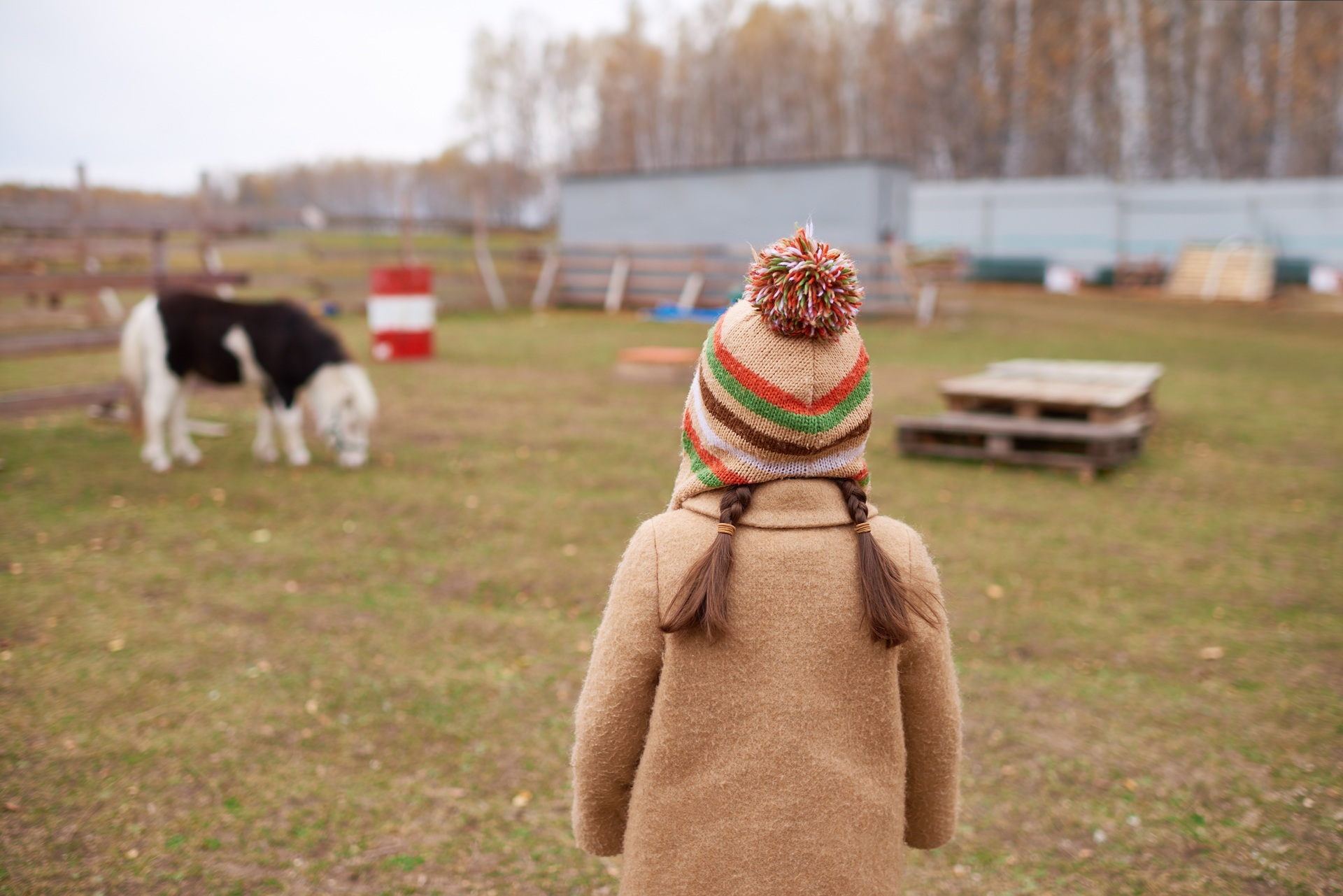 Kind blickt auf Weide mit Pony | Tränkebecken
